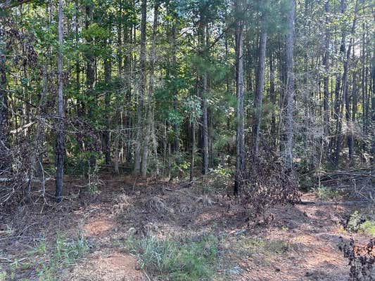 LOT 6 MALLARD TRAIL, SUMMIT, MS 39652 - Image 1