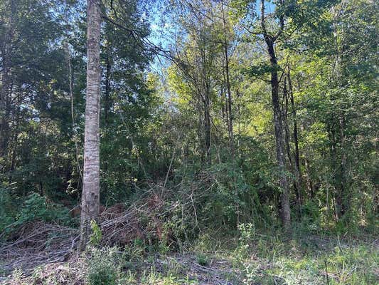 LOT 10B MALLARD TRAIL, SUMMIT, MS 39652 - Image 1