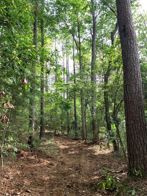 LOT 1 CHATAWA RD, MAGNOLIA, MS 39652, photo 1 of 11