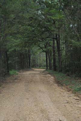 TBD RIALS ROAD, HAZLEHURST, MS 39083 - Image 1