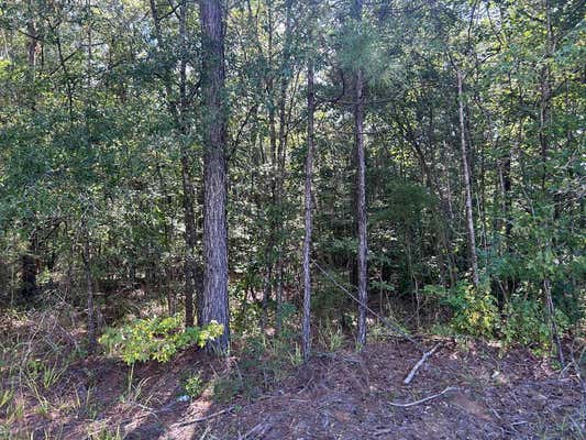 LOT 2 MALLARD TRAIL, SUMMIT, MS 39652 - Image 1