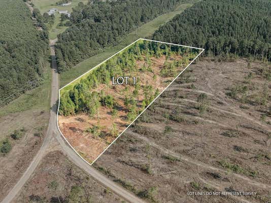 01 LUCAS HOLLOW ROAD, MT. OLIVE, MS 39119 - Image 1