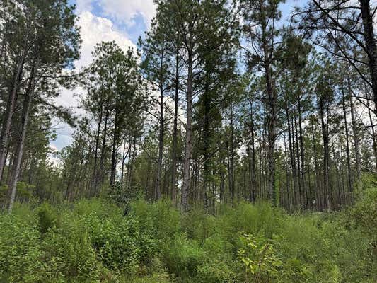 0 GRAVES ROAD, LIBERTY, MS 39645 - Image 1