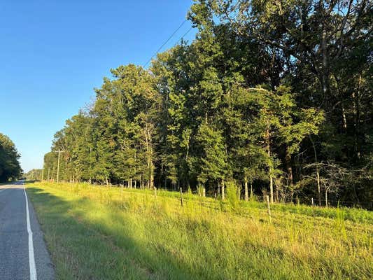 TBD BOGUE CHITTO ROAD, BOGUE CHITTO, MS 39629, photo 3 of 11