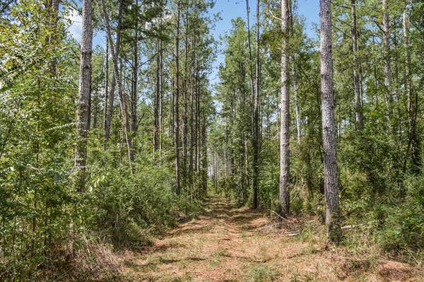 ... CHAPEL DR &COUNTY LINE RD WEST, SUMMIT, MS 39666 - Image 1