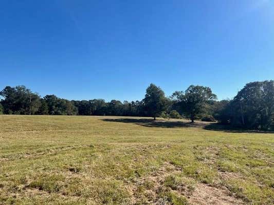 000 SILVER DRIVE, TYLERTOWN, MS 39667 - Image 1