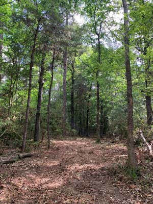 LOT 1 CHATAWA RD, MAGNOLIA, MS 39652, photo 4 of 11