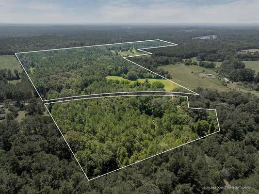 0 J.L. ROBBINS RD, CARSON, MS 39427 - Image 1