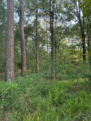 TBD BOGUE CHITTO ROAD, BOGUE CHITTO, MS 39629, photo 4 of 11