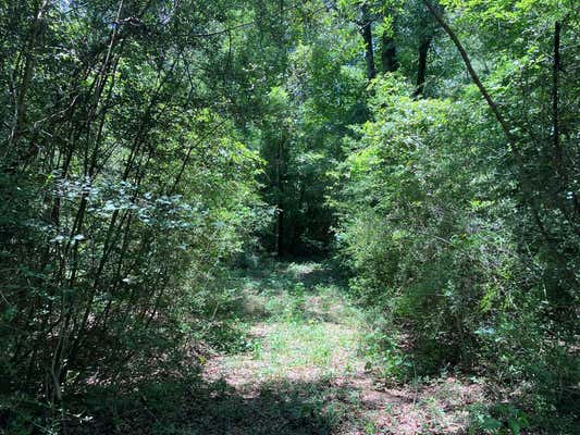 TBD HWY 48, SANDY HOOK, MS 39667 - Image 1