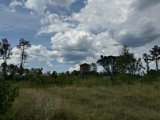 0 BUSY CORNER RD & GRAVES RD & N GRAVES CHAPEL RD, GLOSTER, MS 39645 - Image 1