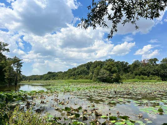 TBD EAST LEVEE RD., OTHER, MS 11111 - Image 1