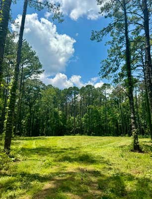 00 LEWIS LANE, MEADVILLE, MS 39653 - Image 1