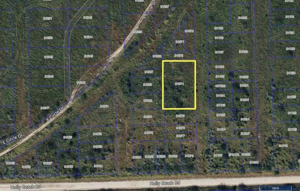 00 E CIRCLE DR., LAGUNA VISTA, TX 78578 - Image 1