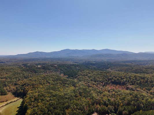 46.6 ACRES REGAN JACKSON ROAD, MILL SPRING, NC 28756 - Image 1