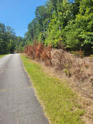 PLANTATION TRAIL, PACOLET, SC 29372 - Image 1