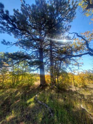 LOT 9, KOLOB, UT 84779 - Image 1