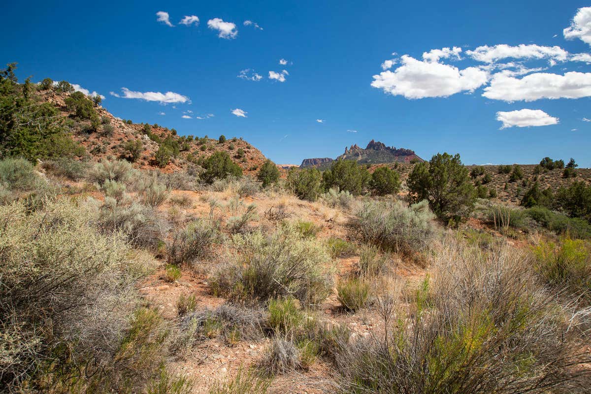 NORTH FORK RD 9, SPRINGDALE, UT 84767, photo 1 of 13