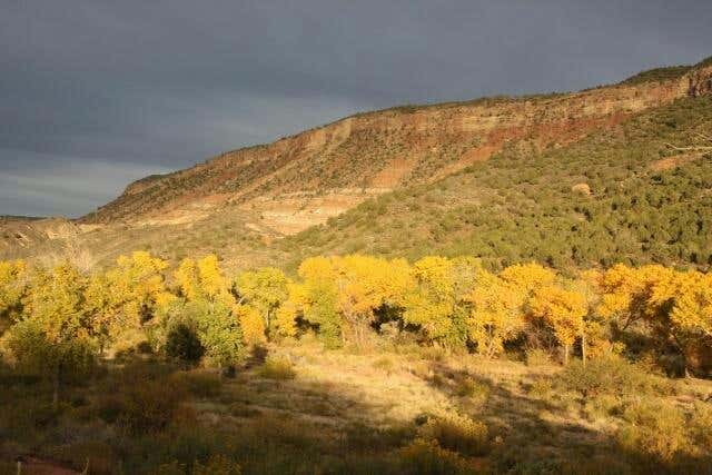 KOLOB GATE GARDENS, VIRGIN, UT 84779, photo 1 of 11