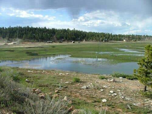 5.5 AF OF WATER WR#81-4933, NEW HARMONY, UT 84757, photo 2 of 2