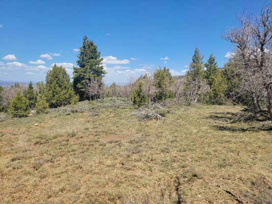 LOT 2 RIDGEVIEW AVE, DUCK CREEK, UT 84762 - Image 1