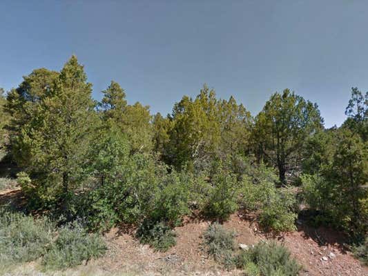 ZION HUNTING EST BLK 2 LOT 38, DUCK CREEK, UT 84762, photo 4 of 6