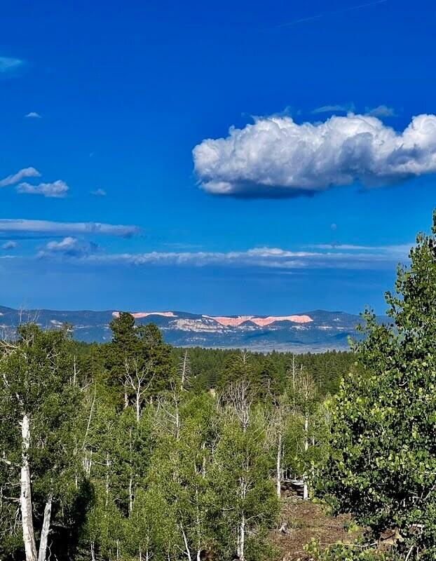 Duck Creek, Utah, 84762, United States, 4 Bedrooms Bedrooms, ,3 BathroomsBathrooms,Residential,Active,2007327