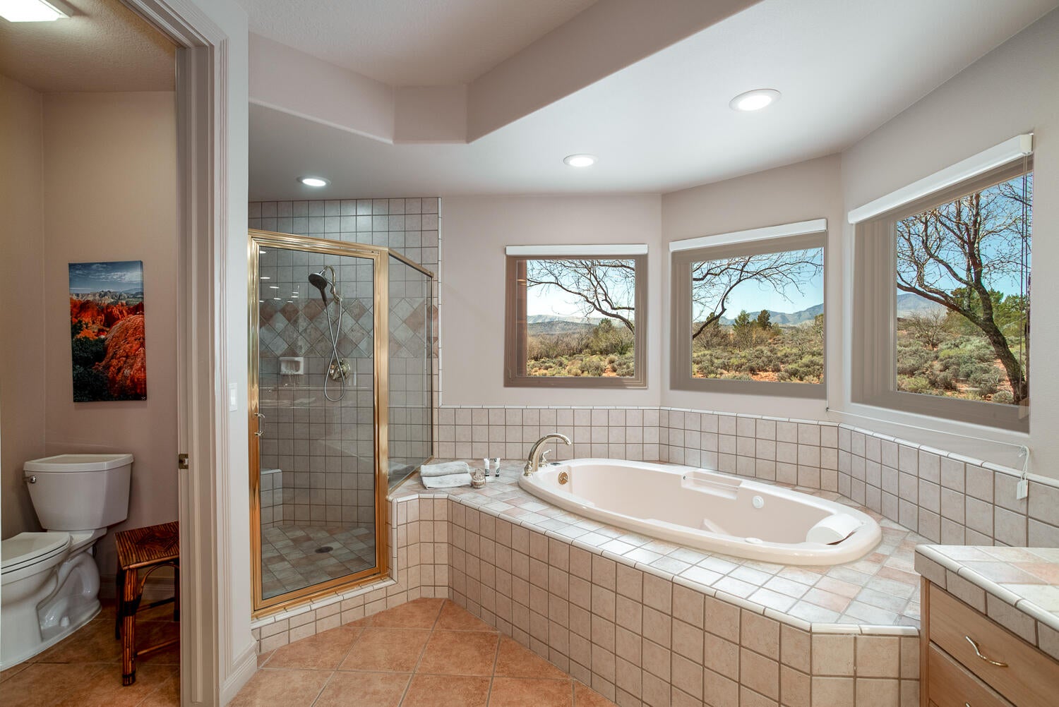 St George, Utah, 84738, United States, 3 Bedrooms Bedrooms, ,4 BathroomsBathrooms,Residential,Active,1769897