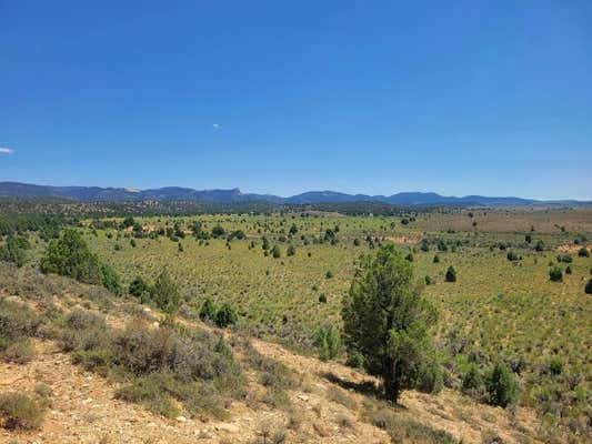 80 ACRES - SEC 18 T7S R5W, HATCH, UT 84735 - Image 1