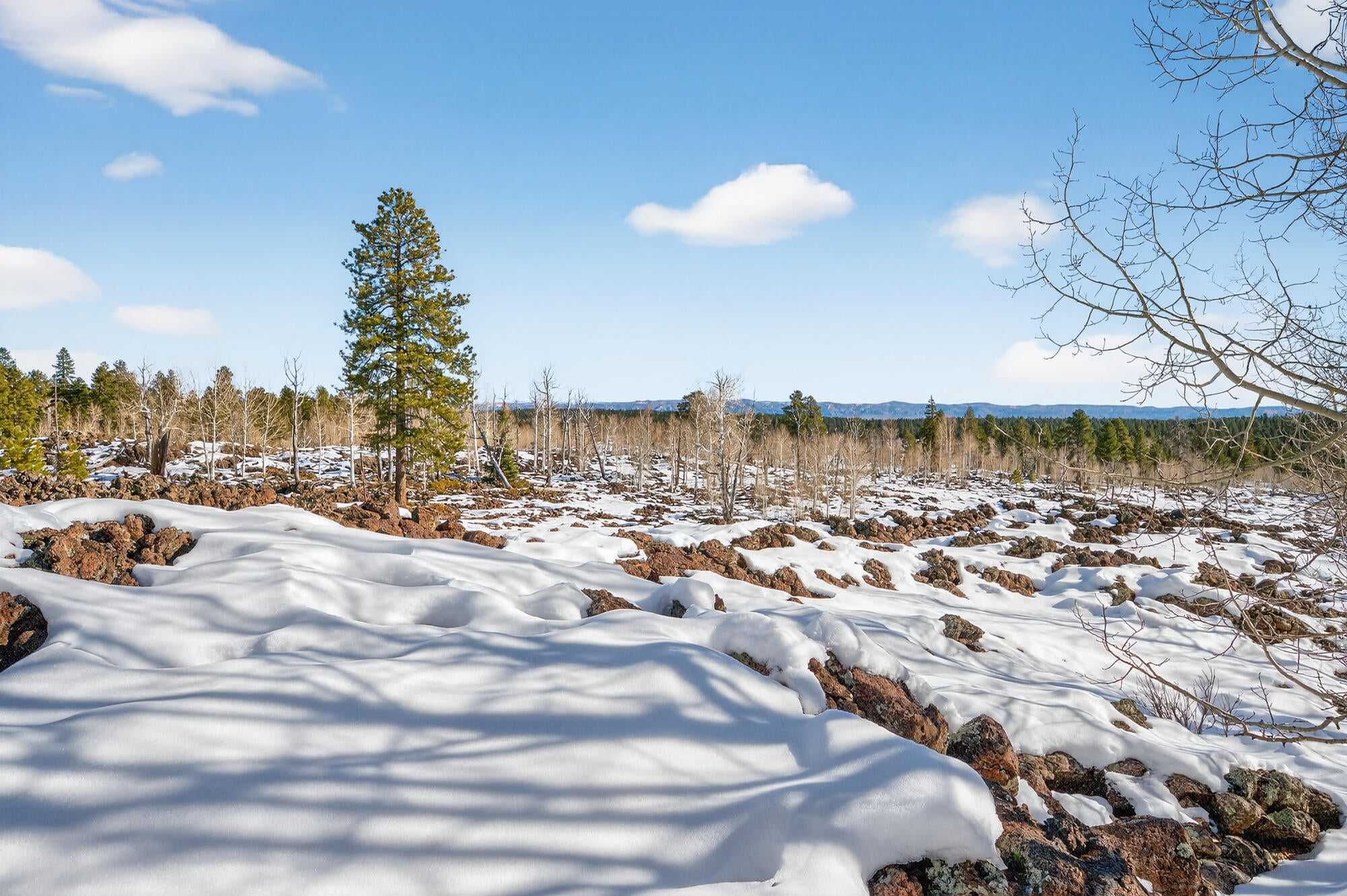 Duck Creek, Utah, 84762, United States, 4 Bedrooms Bedrooms, ,3 BathroomsBathrooms,Residential,Active,2007327