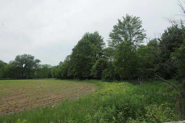 LOT 1 CSM N3990 HIGHWAY 22, MONTELLO, WI 53949 - Image 1