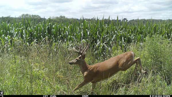 102 +/- ACRES EXCELSIOR DRIVE, ROCK SPRINGS, WI 53961 - Image 1