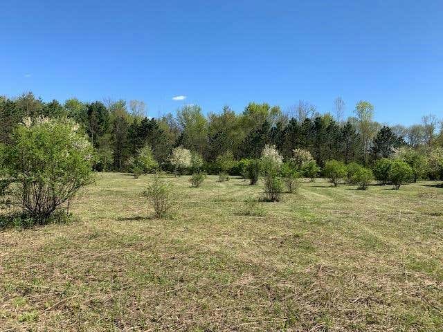 95 ACRES HIGHWAY 13, WISCONSIN DELLS, WI 53965, photo 1 of 90