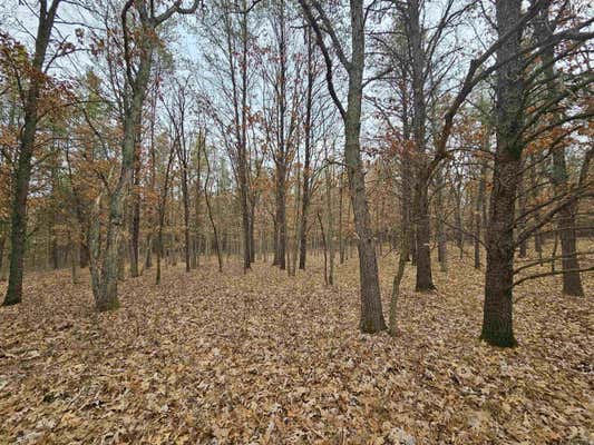 5.41 ACRES KOVAL ROAD, LYNDON STATION, WI 53944, photo 3 of 11