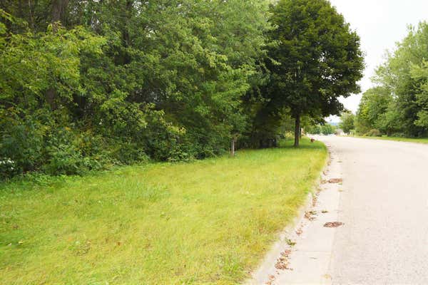 LOT 61 N WESTMOR STREET, SPRING GREEN, WI 53588 - Image 1