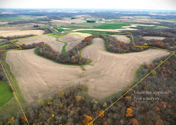 117 +/- ACRES GILMAN ROAD, FERRYVILLE, WI 54628 - Image 1