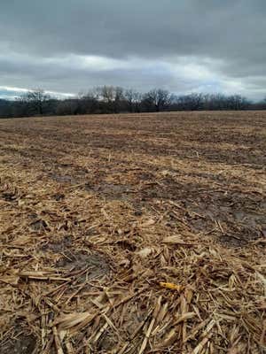 30.82 ACRES MAJOR LANE, PLATTEVILLE, WI 53818 - Image 1