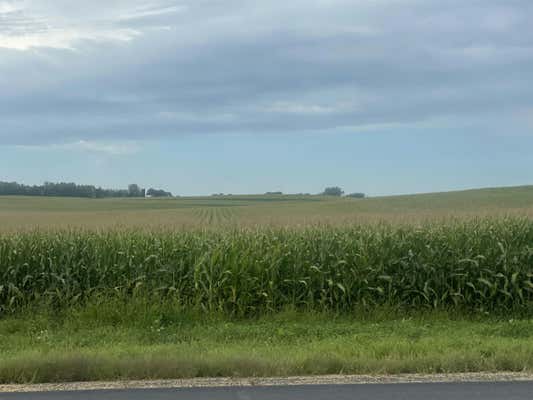 38.97 HIGHWAY 60, ARLINGTON, WI 53555 - Image 1