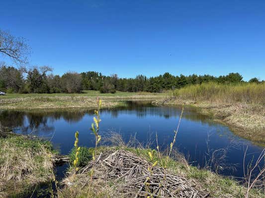 33 ACRES 10TH AVENUE, ADAMS, WI 53910 - Image 1