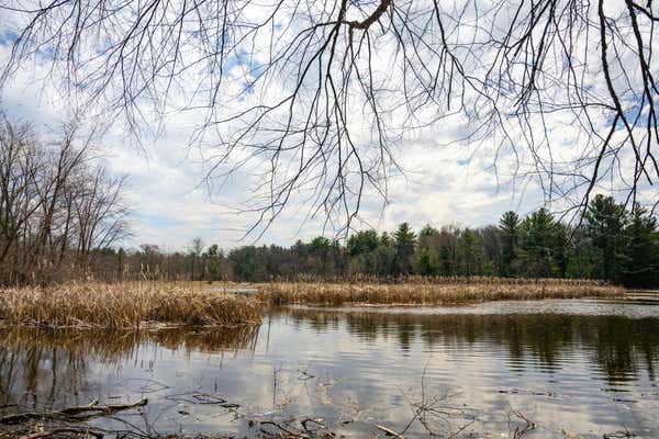 LOT 254 DAKOTA JUNCTION, FRIENDSHIP, WI 53934, photo 2 of 32