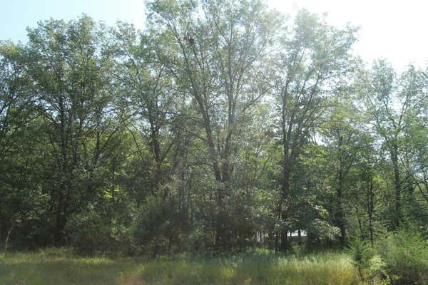 LOT 53 TOMAHAWK TRAIL, MONTELLO, WI 53949 - Image 1