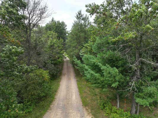 10 ACRES BEAVER AVENUE, HANCOCK, WI 54943 - Image 1