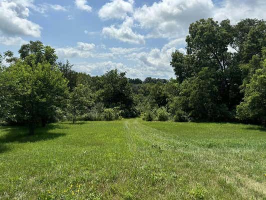 5 ACRES SAVANNAH TER ROAD, DODGEVILLE, WI 53533 - Image 1