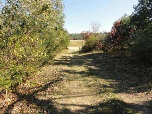 95 ACRES HIGHWAY 13, WISCONSIN DELLS, WI 53965, photo 5 of 90