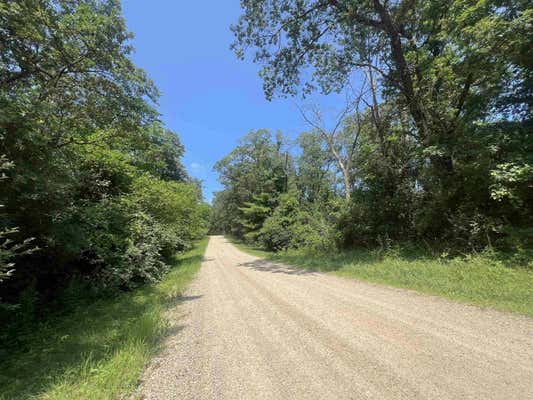 2.14 ACRES BLACK OAK LANE, COLOMA, WI 54930 - Image 1