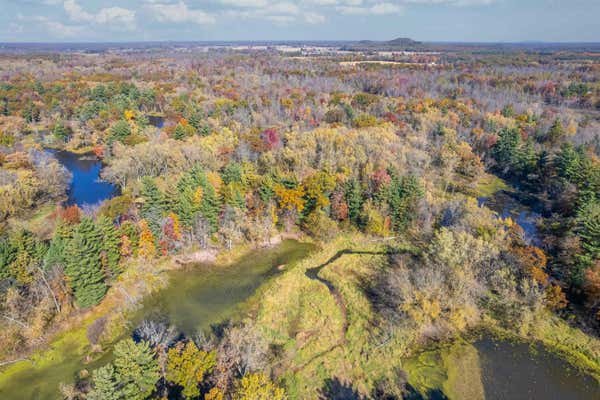 99 ACRES HIGHWAY 12 AND 16, MAUSTON, WI 53948 - Image 1