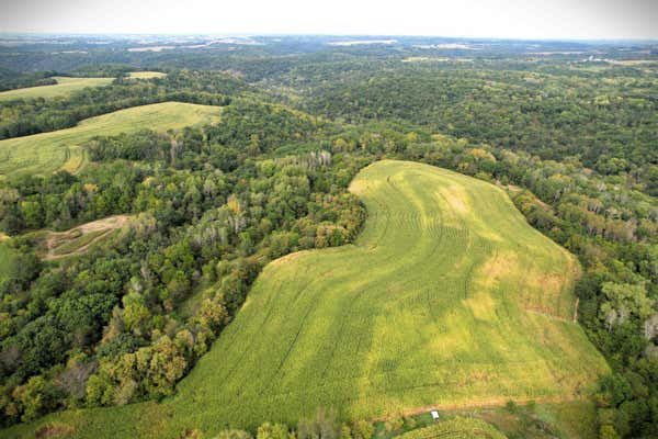 102 +/- ACRES N BUCK CREEK ROAD, FERRYVILLE, WI 54628 - Image 1