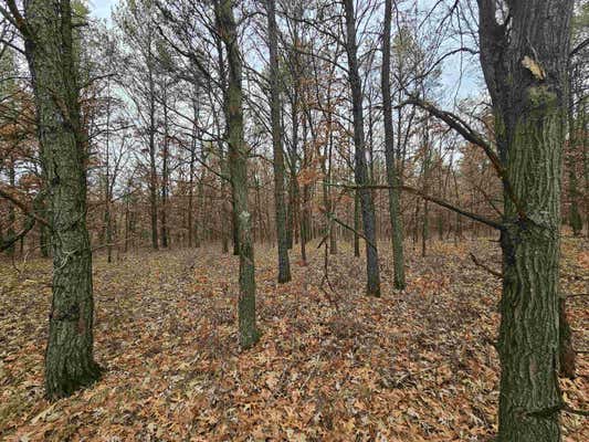 5.41 ACRES KOVAL ROAD, LYNDON STATION, WI 53944, photo 5 of 11