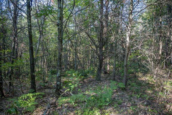 LOT 4 20TH STREET, NECEDAH, WI 54646 - Image 1