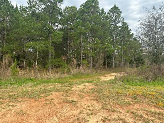 148 PARTRIDGE CIR, LEESBURG, GA 31763, photo 3 of 3